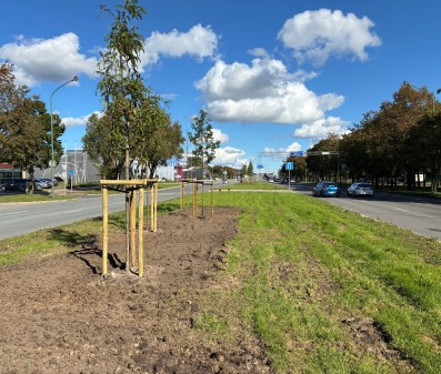 Rūšiuoti verta: iš klaipėdiečių komposto sužydės Baltijos prospektas